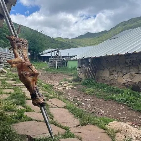 Cajupi *